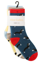 Sausage Dog Socks (3pk)